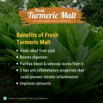 Fresh_Turmeric_Malt_Pouch_01-1.jpg