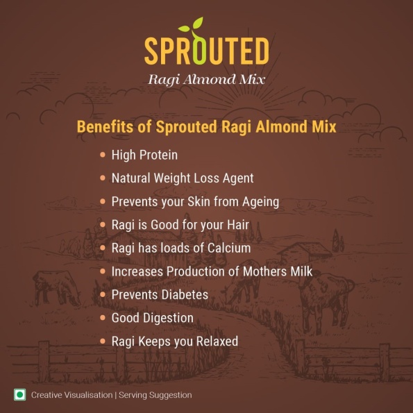 Organic baby food mix